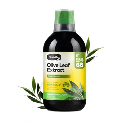 콤비타 올리브잎 추출액 500ml 페퍼민트맛